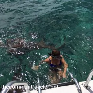 San Pedro woman with sharks