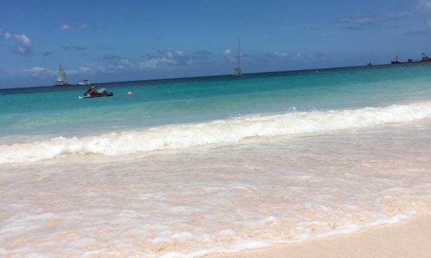 Unique Things to Do in Barbados on a Port Day