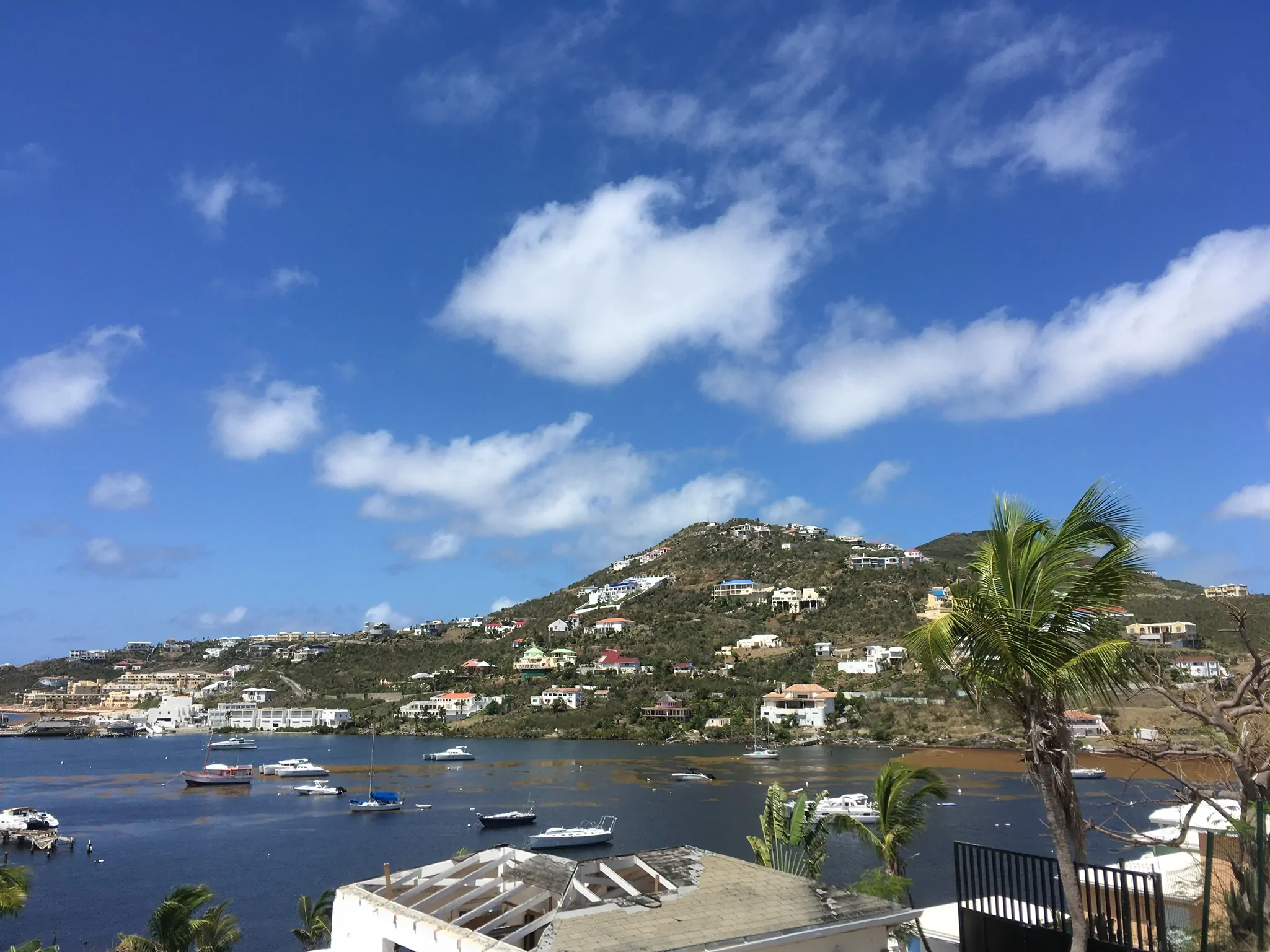 The Best Things to Do in St Marteen on a Port Day featured by top US travel blog, The Common Traveler: St. Maarten