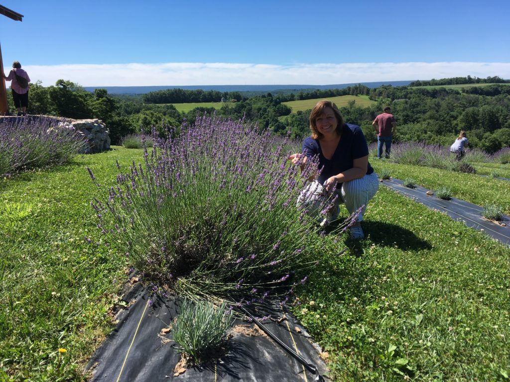 lavender farm woman in lavender field