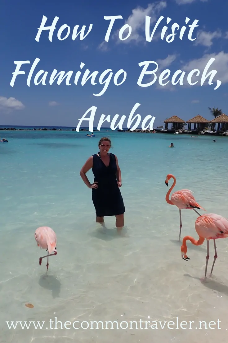 Visiting Flamingo Beach in Aruba, tips featured by top affordable travel blog, The Common Traveler: Tips and review on visiting Flamingo Beach, Aruba. #flamingobeach #flamingobeacharuba #aruba
