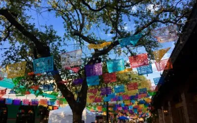 10 Things to Do and See in San Antonio: a Weekend Plan