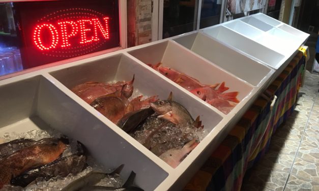 One Week in Belize: Adventure & Relaxation