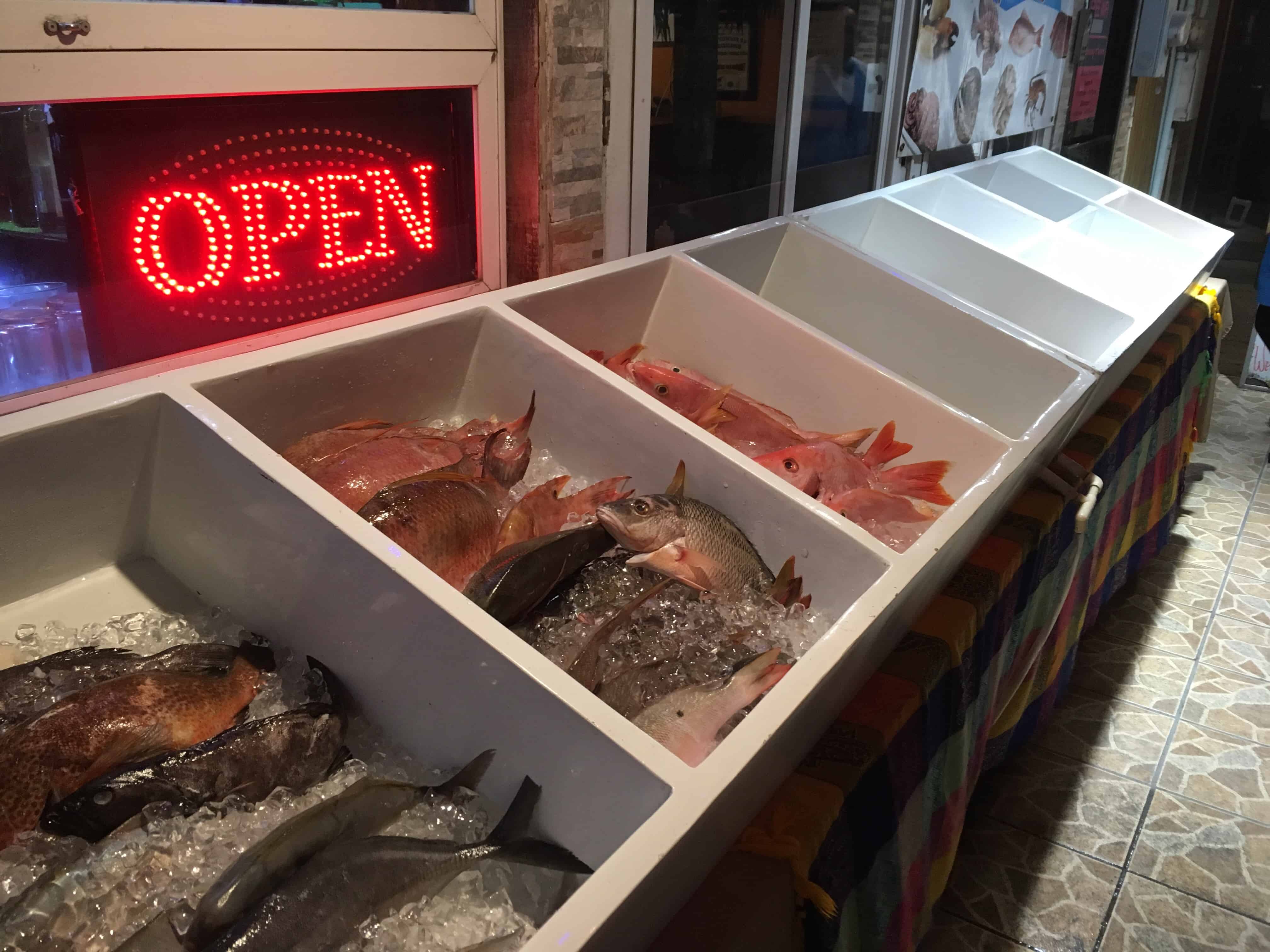 The Best Restaurants in San Pedro Belize The Common Traveler