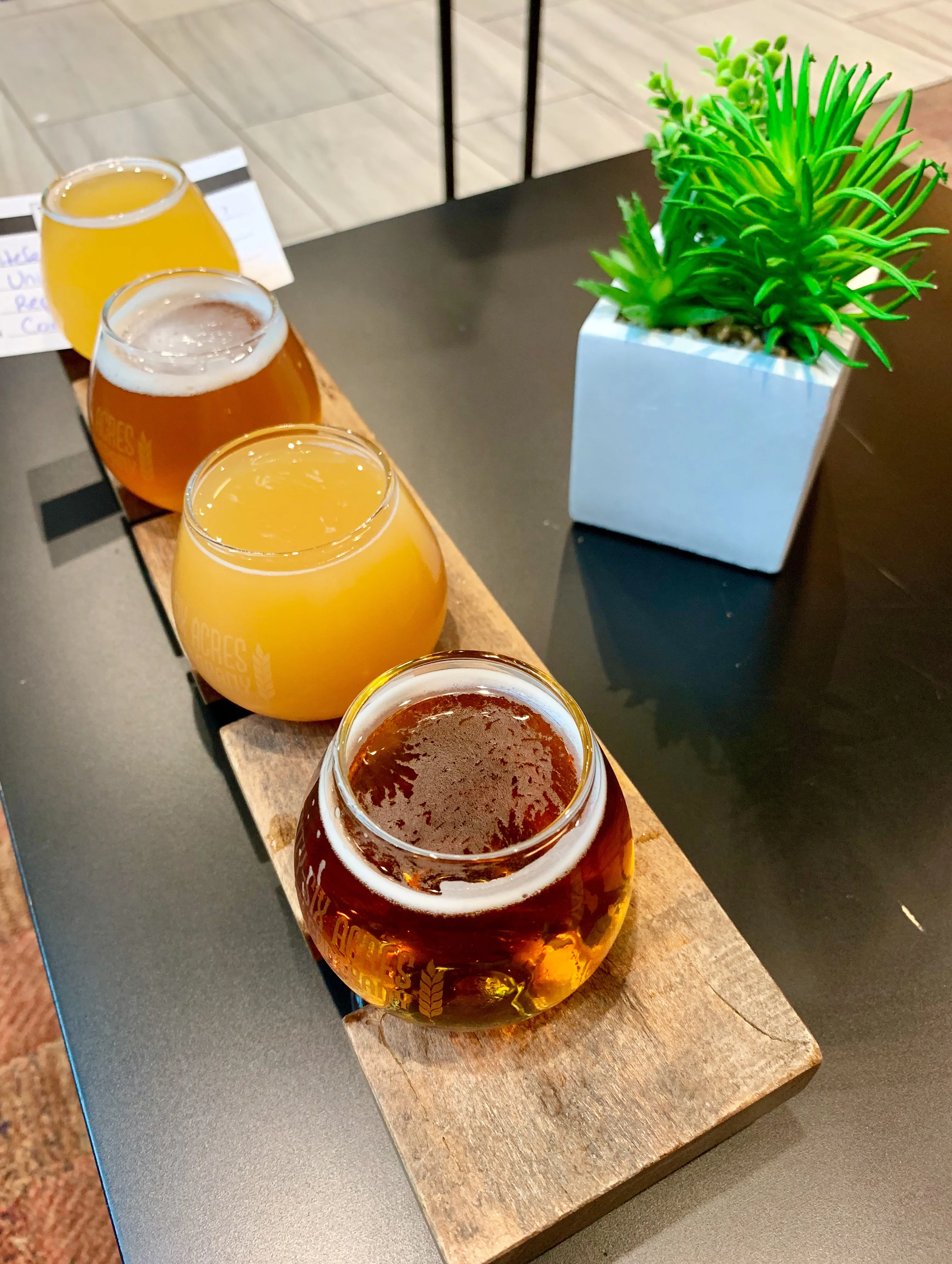 flight of 4 beers - Twenty-Six Acres Brewing, Concord, NC