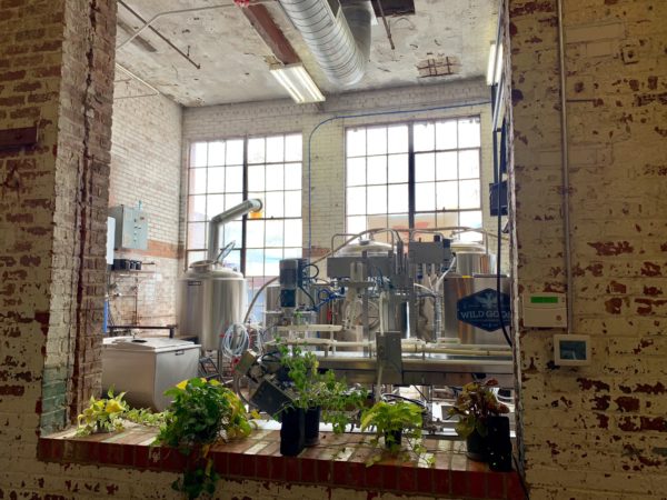 old brick wall with plants and brewing equipment in back - High Branch Brewing, Concord, NC