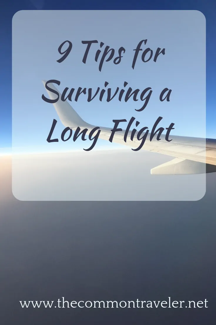 A long flight to your destination can make or break your trip. These 9 tips by The Common Traveler will help you make the best of a long flight. #longflight #longhaul