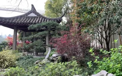 Best Apps to Use in China
