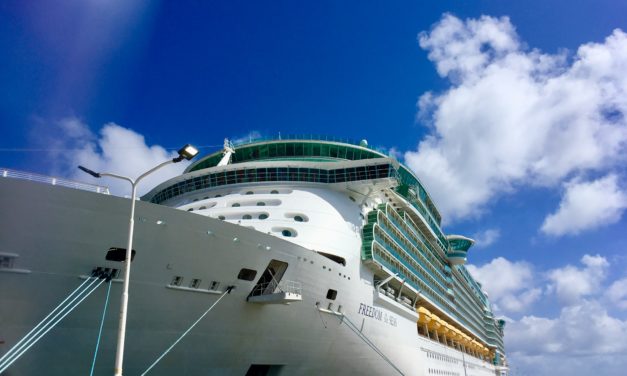 Top 11 Tips for a Smooth Disembarkation Day