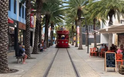 Top 10 Best Aruba Souvenirs to Buy