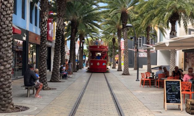 Top 10 Best Aruba Souvenirs to Buy