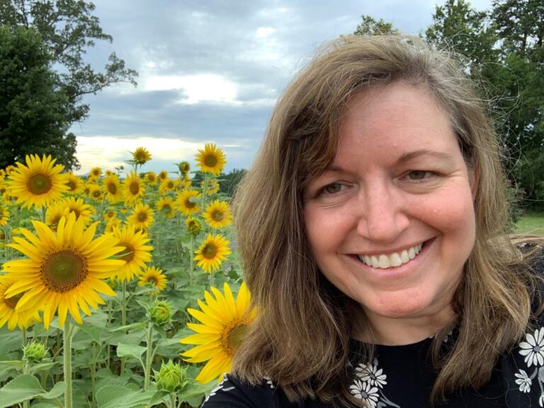 The Best Sunflower Fields in NC to Visit 2024! The Common Traveler