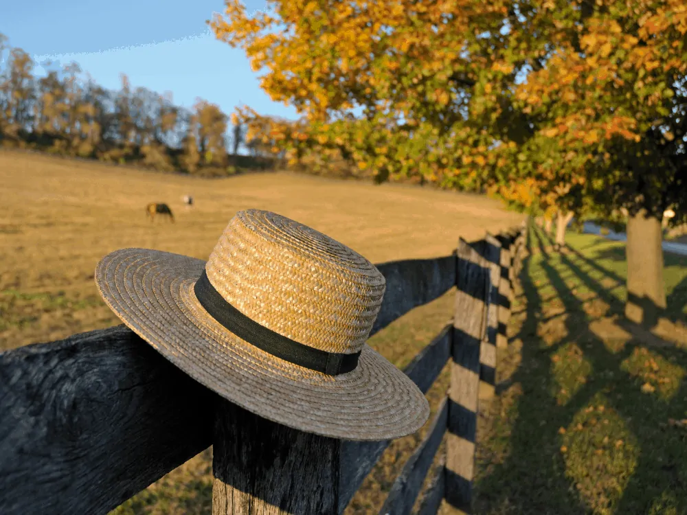 Amish hats on fence post in front of field