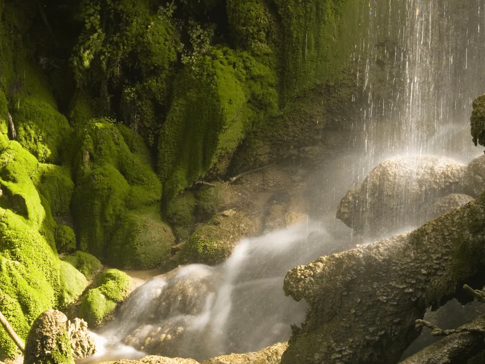 waterfall over rocks with moss covered rocks at Colorado Bend State Park in Texas
