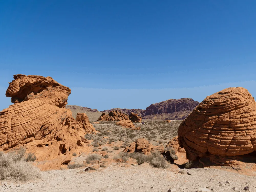 Dinosaur Valley State Park, Texas