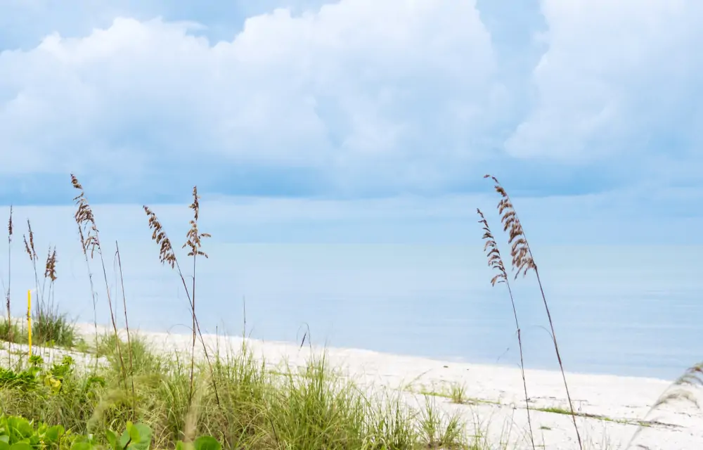 Ultimate Guide of the Best Things to Do in Bonita Springs, FL