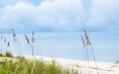 Ultimate Guide of the Best Things to Do in Bonita Springs, FL
