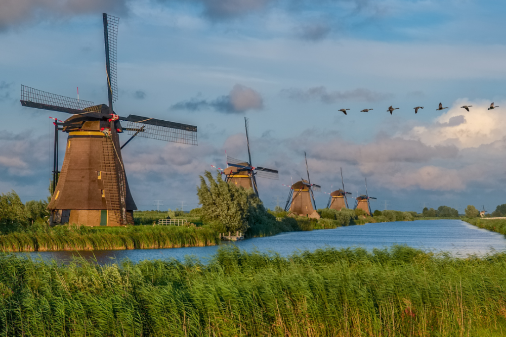 Best Sights in the Netherlands | The Common Traveler | old windmills by river in Kinderdijk |Things to see in the Netherlands by popular US international blog, The Common Traveler: image of old windmills in Kinderdijk. 