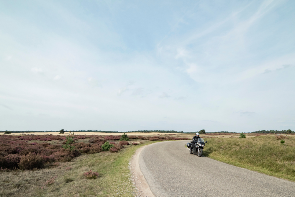 Best Sights in the Netherlands | The Common Traveler | man on motorcycle through The Hoge Veluwe National Park |Things to see in the Netherlands by popular US international blog, The Common Traveler: image of a man on a motorcycle in Hoge Veluwe National Park. 