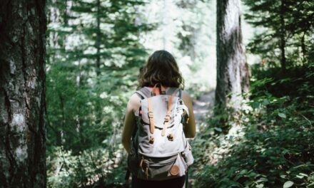 Hiking Alone: Tips for Solo Hiking Safely