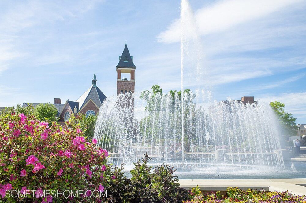 image: water fountain in York County, SC | Best Places to Visit in South Carolina: image of a water fountain and pink flowering bush in York County.  