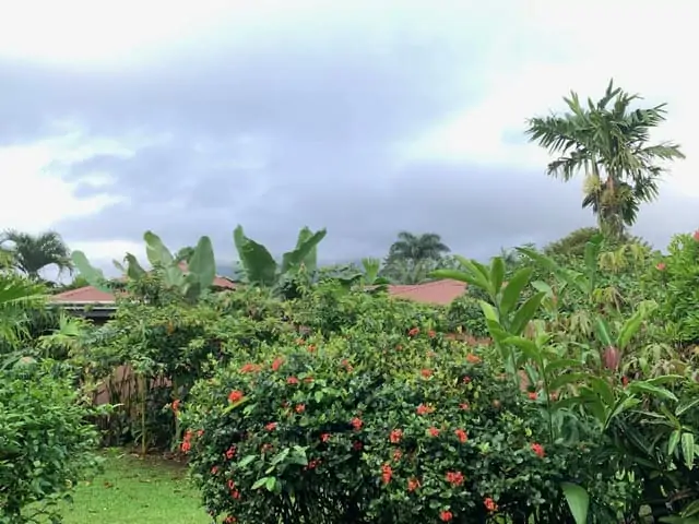 Arenal Springs Resort review featured by top international travel blogger, The Common Traveler | image: greenery with roof and cloud cover