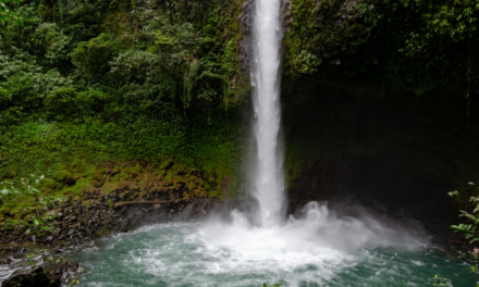 Is the La Fortuna Waterfall Worth the Climb?