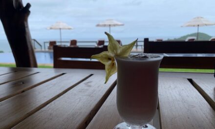 Where to Stay in Costa Rica: Hotel Punta Islita Review