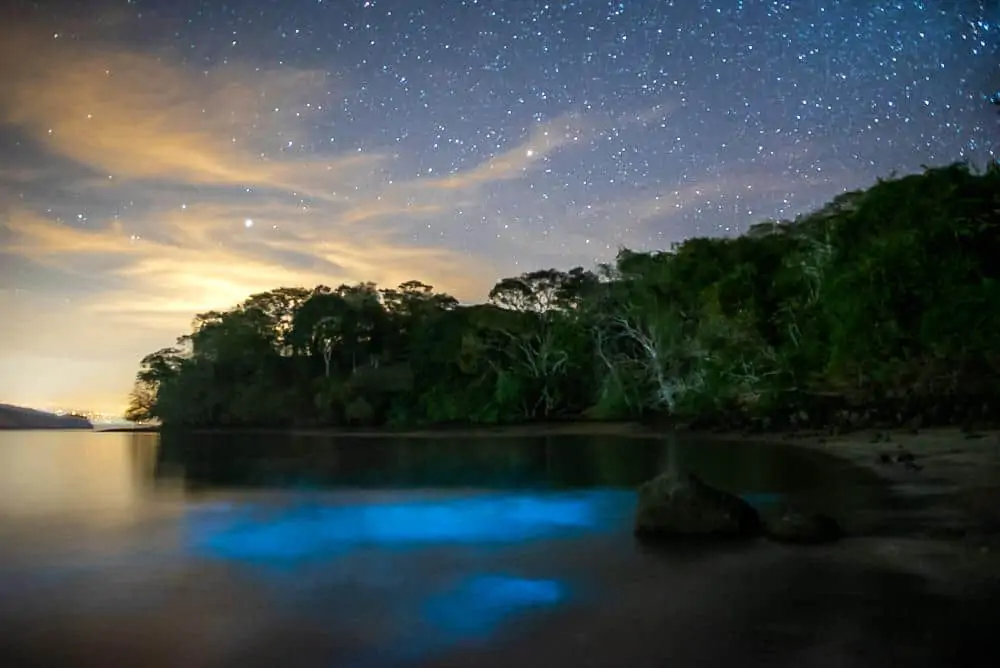 A Complete 10 Day Costa Rica Itinerary | The Common Traveler | image: Bioluminescent Bay in Paquera | Costa Rica Itinerary by popular US international travel blog, The Common Traveler: image of Bioluminescent Bay in Paquera.