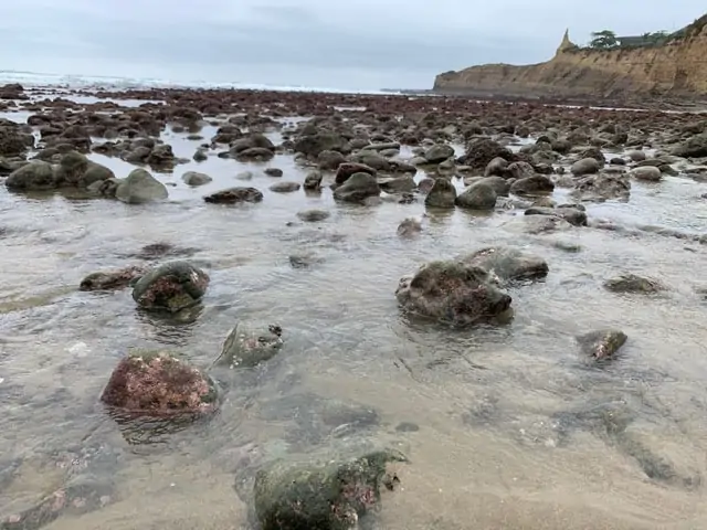 9 BEST THINGS TO DO IN MONTANITA ECUADOR featured by top travel blogger, The Common Traveler | image: rocks and water on beach