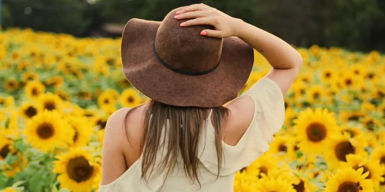 Best Sunflower Fields in South Carolina – 2025!