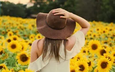 Best Sunflower Fields in South Carolina – 2025!