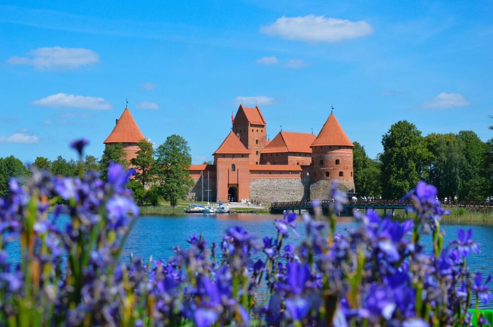 Trakai castle across the lake with blue irises in front