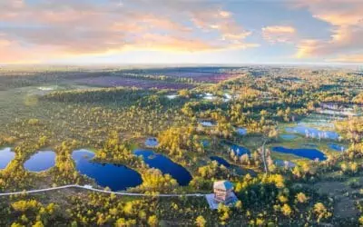 Best Day Trips From Tallinn Estonia