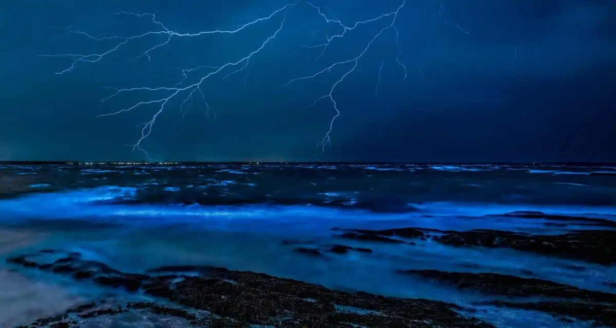 6 Must-See Things to Do and Experience in Jervis Bay, NSW