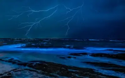 6 Must-See Things to Do and Experience in Jervis Bay, NSW