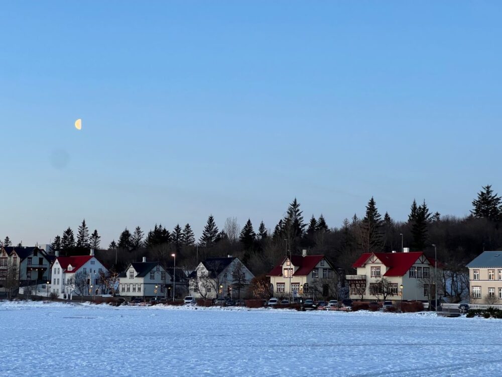Know Before you Go to Iceland in Winter | The Common Traveler | image: homes along frozen pond in Reykvavik
