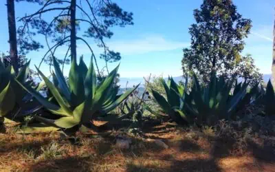The Ultimate Guide to Hiking Los Pueblos Mancomunados
