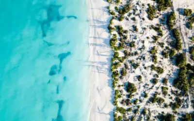 22 Top Activities in Turks and Caicos