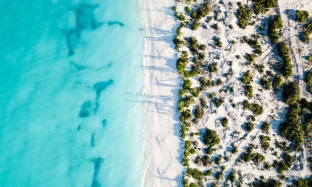 22 Top Activities in Turks and Caicos