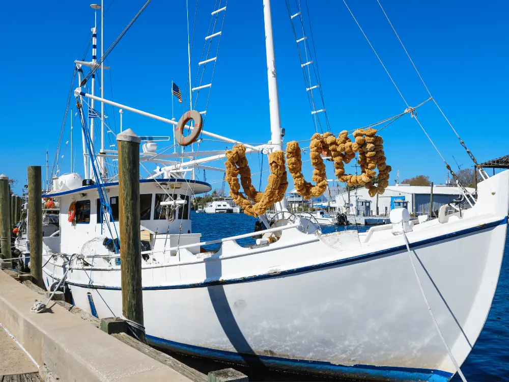 Best Things to Do in Tampa | The Common Traveler | image: boat with sponges at Tarpon Springs