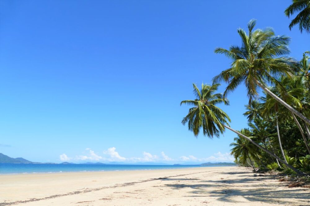 Cairns Travel Guide | The Common Traveler | image: Mission Beach with sand and palm trees