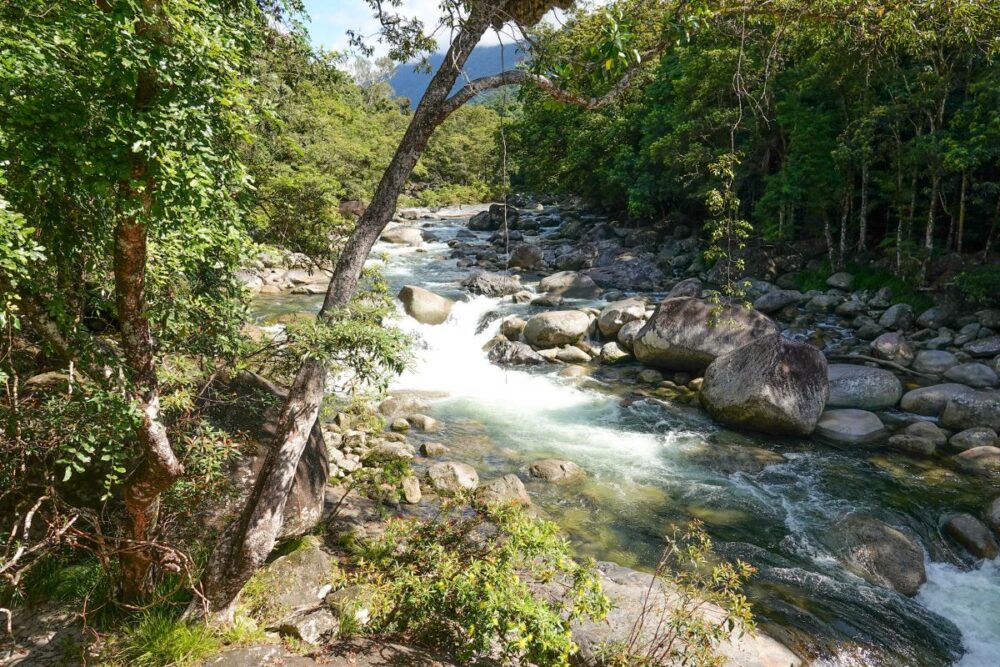 Cairns Travel Guide | The Common Traveler | image: Mossman Gorge