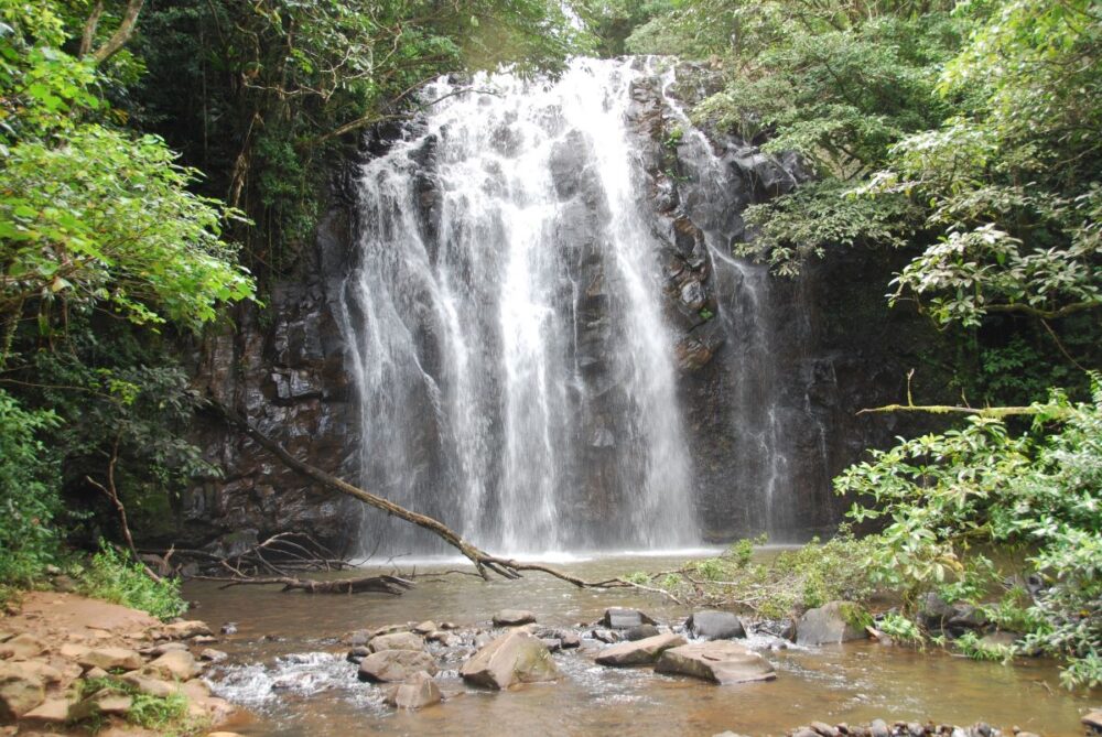 Cairns Travel Guide | The Common Traveler | image: Mungalli Falls