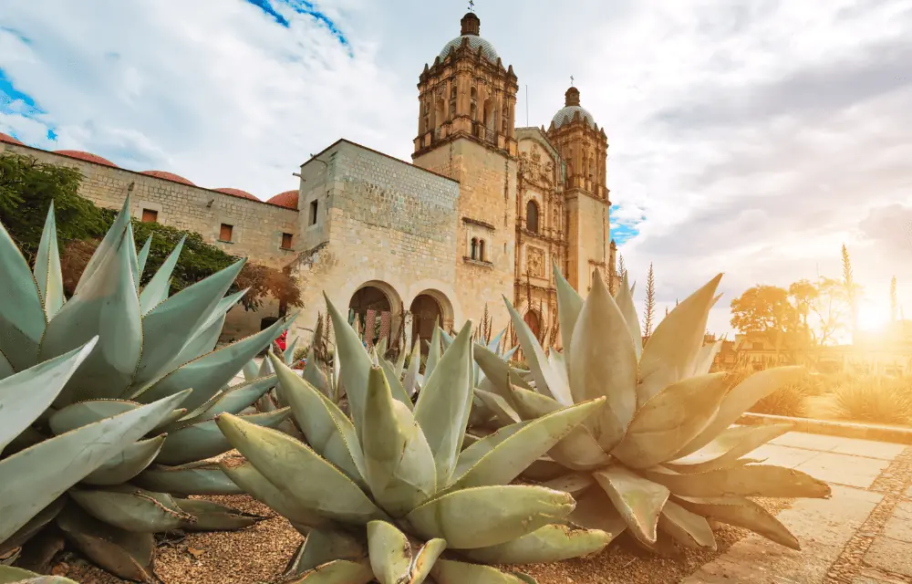 Amazing Things to Do in Oaxaca Mexico