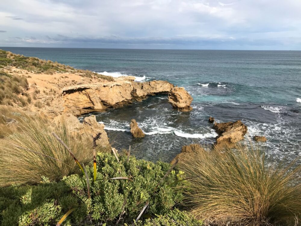 10 Best Things to do in Victoria | The Common Traveler | image: view of ocean from Mornington Peninsula