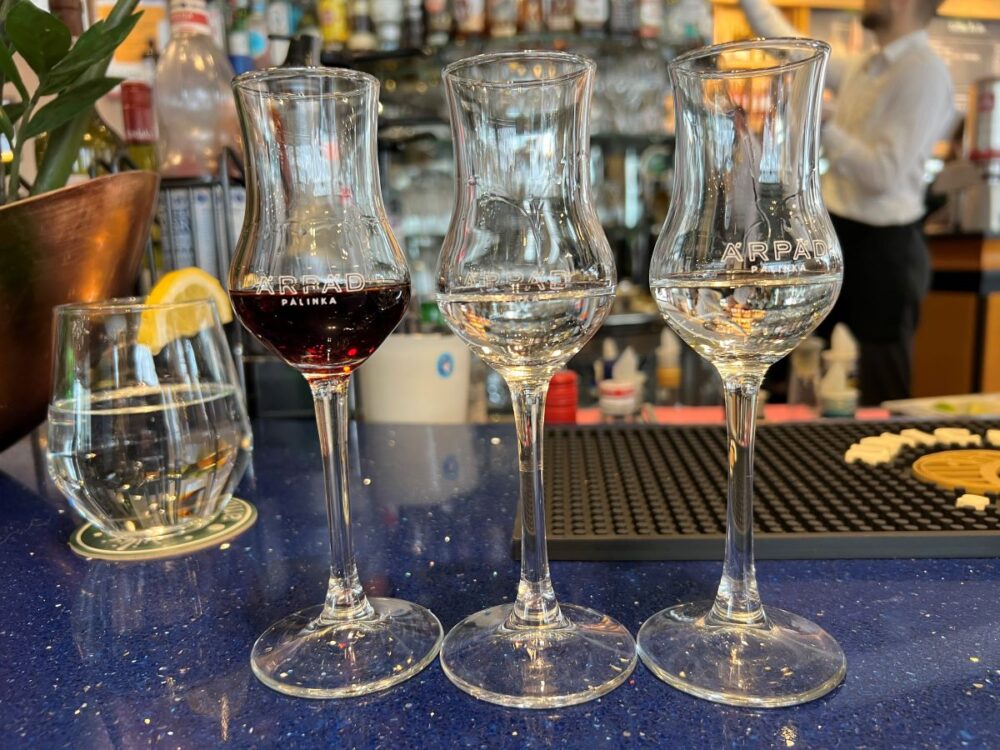Hungarian Foods and Drinks to Try | The Common Traveler | image: three glasses of palinka on bar top
