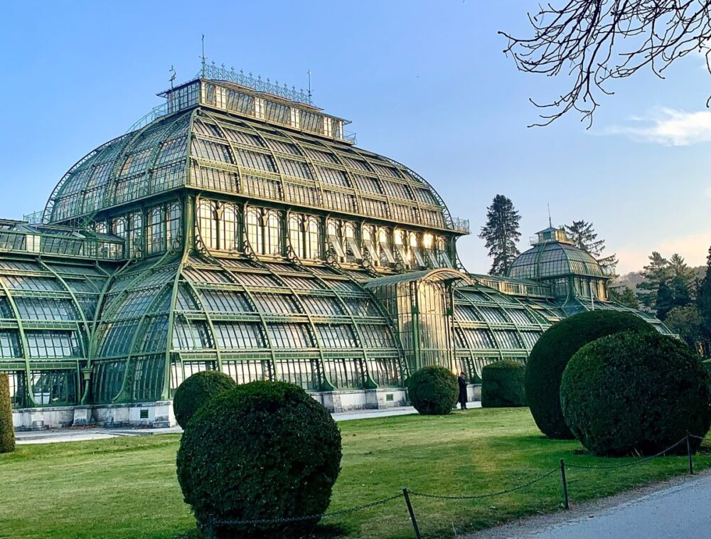 20 Best Tips for Visiting Vienna | The Common Traveler | image: Palmenhaus Schonbrunn greenhouse