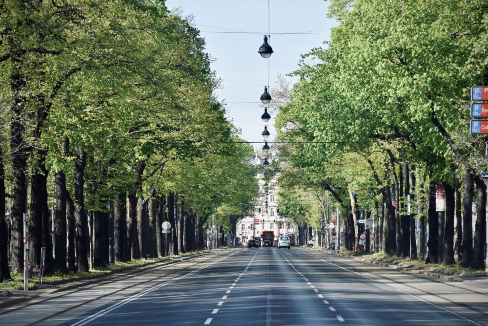 20 Best Tips for Visiting Vienna | The Common Traveler | image: Ringstrasse