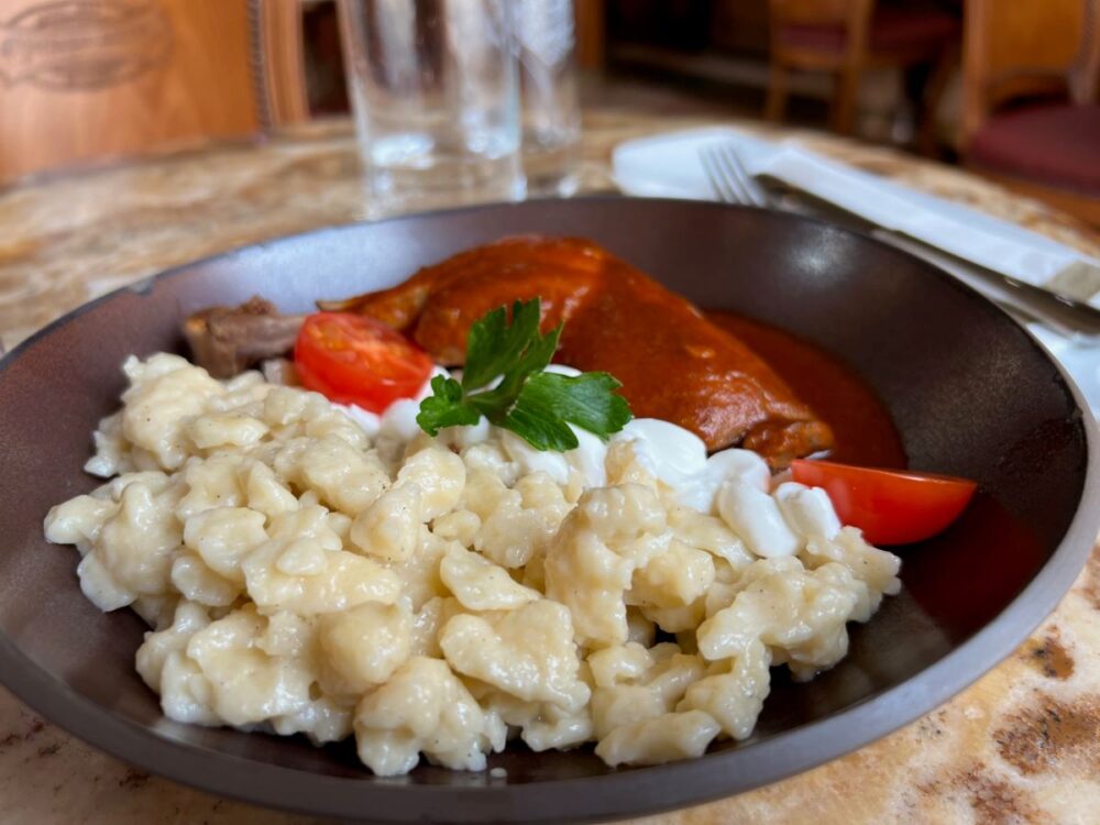 Hungarian Foods and Drinks to Try | The Common Traveler | image: black plate with chicken paprikash and dumplings